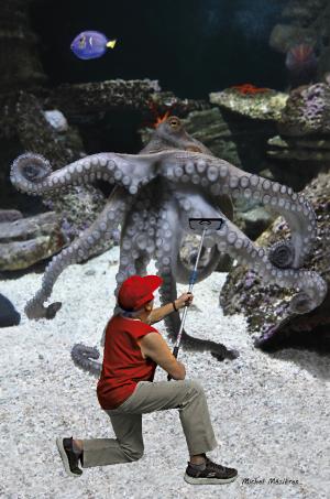 06-poulpe-lavage_tentacule