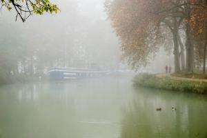 dsc07810_ibo