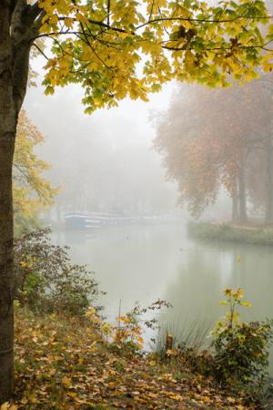 dsc07811_ibo