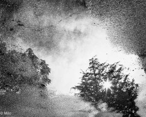 _milo_l_eau_du_songe_5