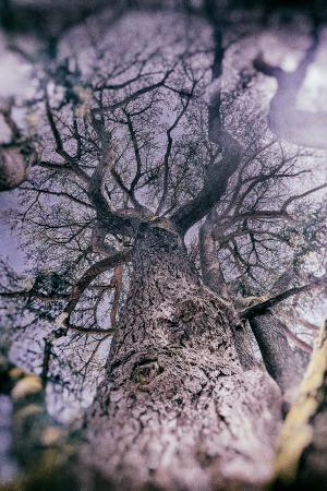 cedres-pap-neu26-low_res-23