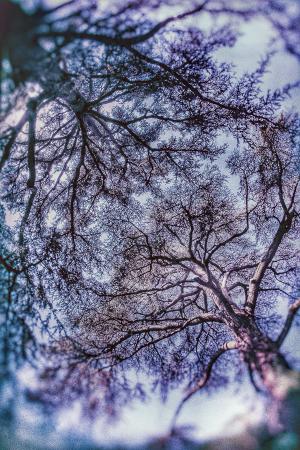 cedres-pap-neu26-low_res-7054