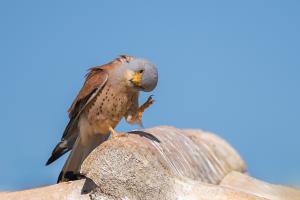 _dsc4621-modifier-modifier