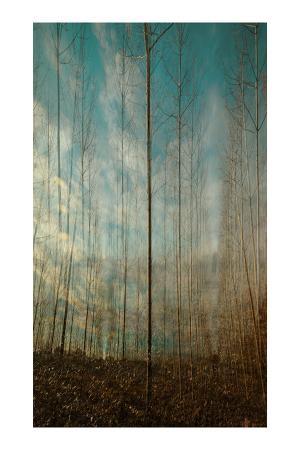 06_vers_le_bleu_du_ciel