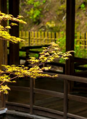 _dsc_2_2104b