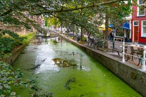 p_dujardin_au-fil-des-canaux_4