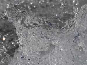 img_3942_ibo