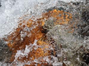 img_3995_ibo