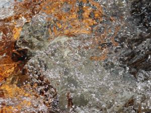 img_3995a_ibo