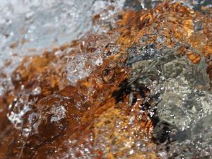 img_3998_ibo
