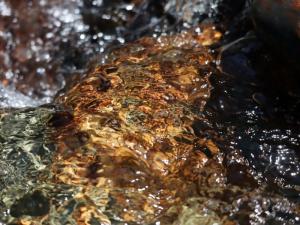 img_3999_ibo