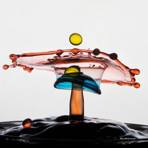 expo_festival__ibo_-_merville_2