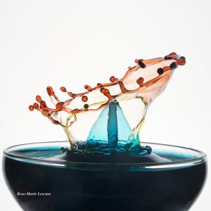 expo_festival_acquatique_06