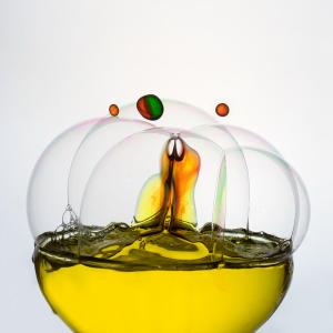 expo_festival_acquatique_09