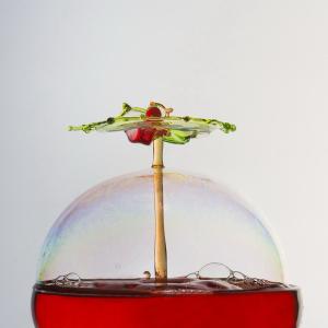 expo_festival_acquatique_12