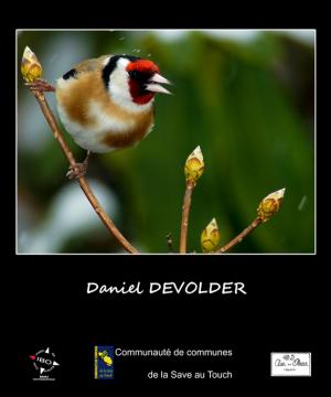 d_devolder