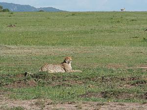 5_p3150383-1