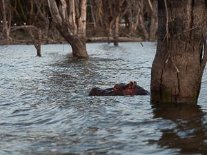 7_p3171044-2-1