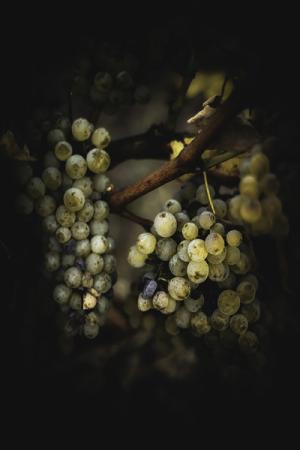 1-couleur_d_automne(1)