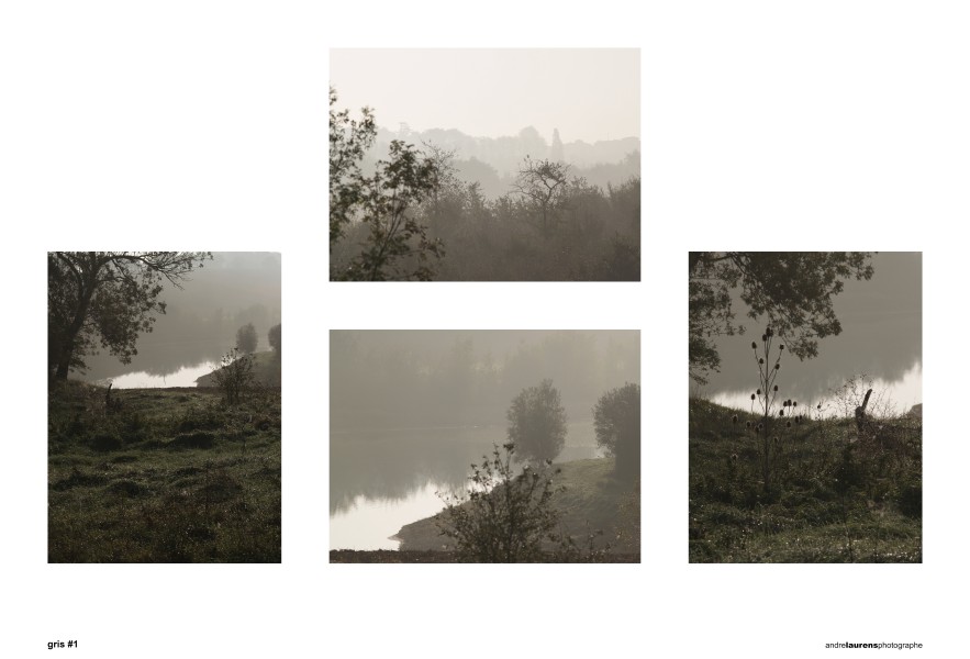 gris1