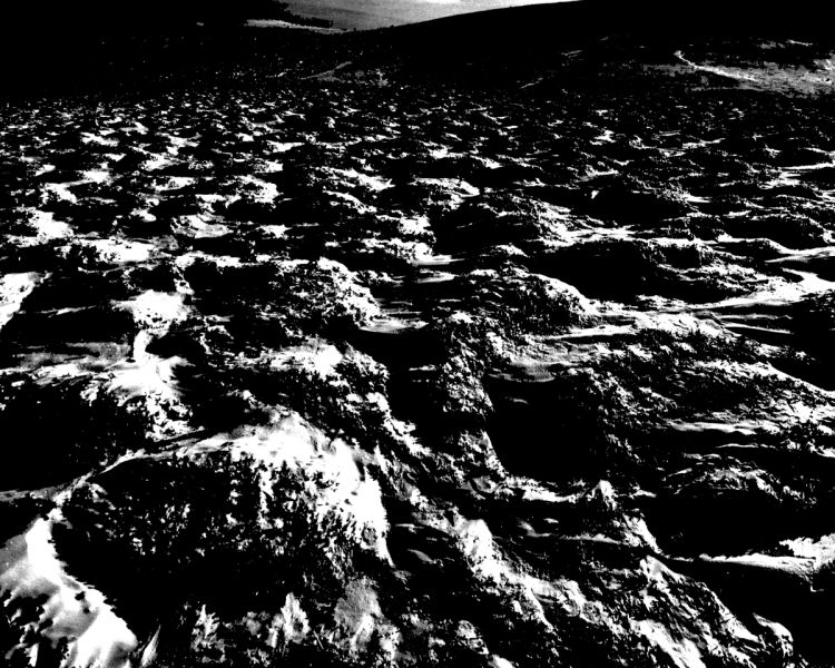 2015-03_noir_10.jpg_site
