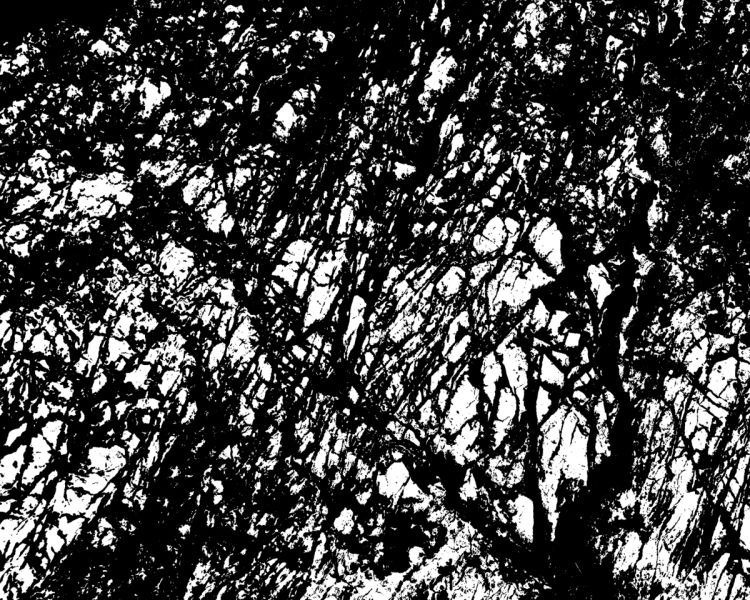 2015-03_noir_17.jpg_site