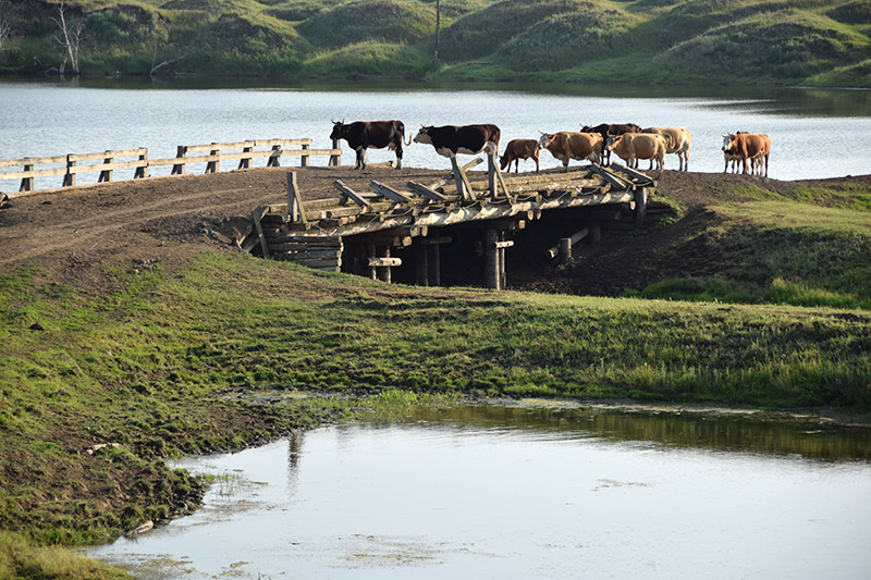 photos_kolyma_corentin_02