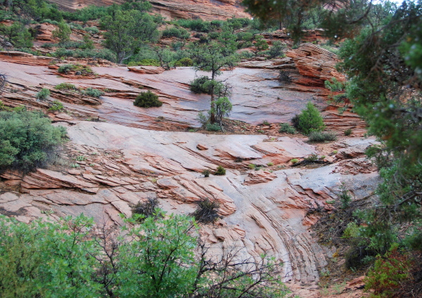 zion_park-alain_6