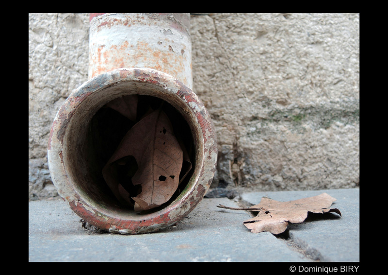 biry_d_dauphin_de_cahors_09