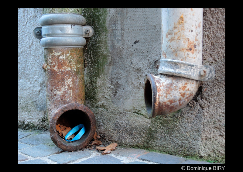 biry_d_dauphin_de_cahors_10