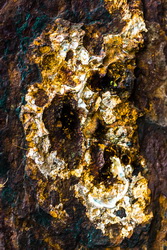 img_1533-lr5ok