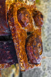 img_8838-lr5ok