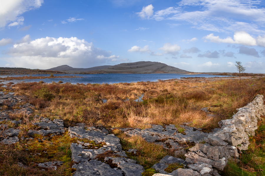 _24a8585-panorama