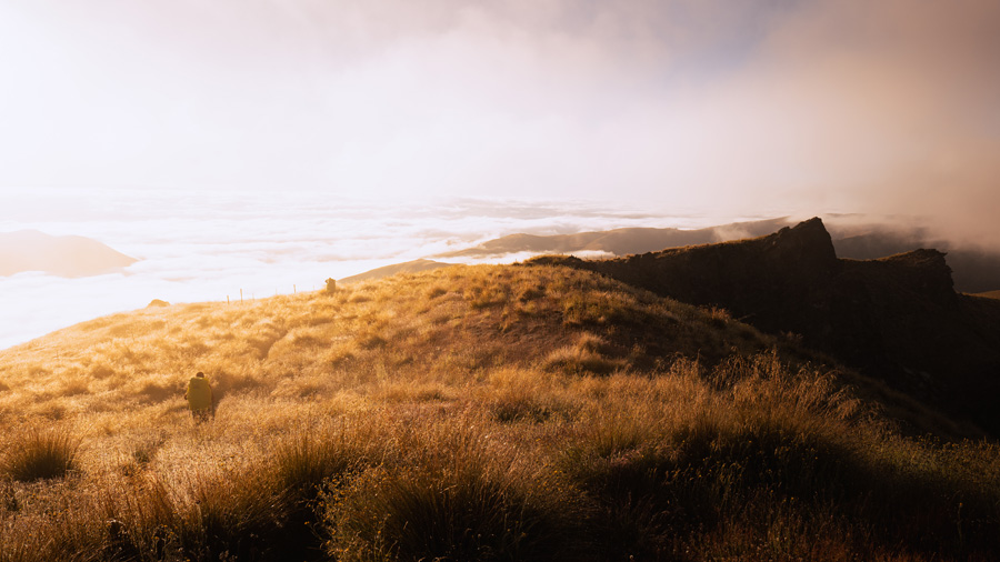 8-d__part_matinal_dans_le_tussock