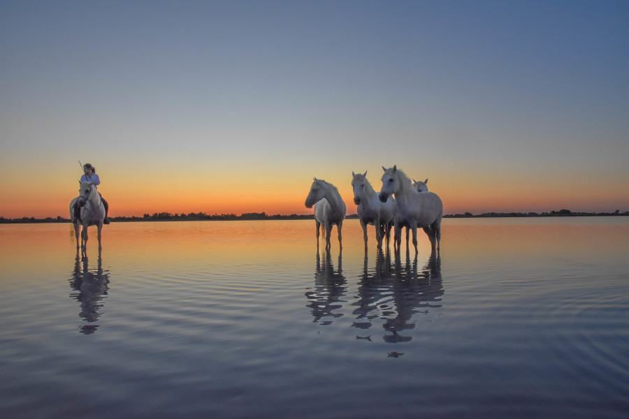 dans_les_salins