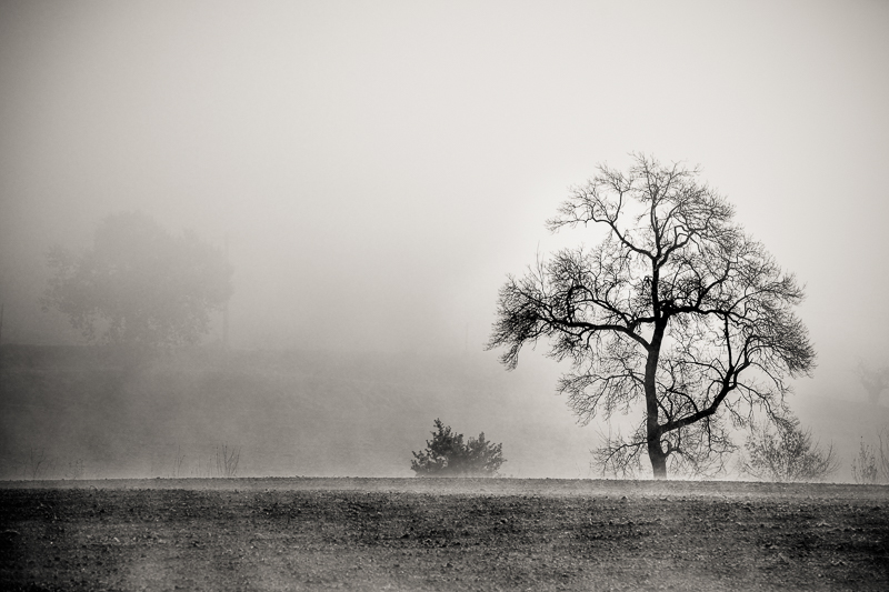 silhouettes