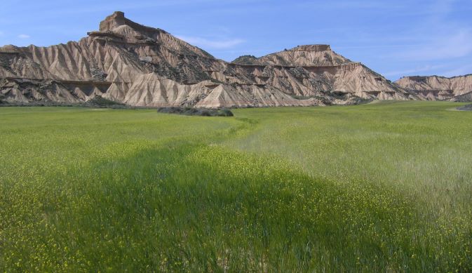 bardenas_reales_3p