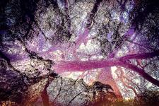 10create-img1