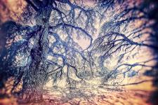 11create-img1
