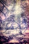 12create-img1