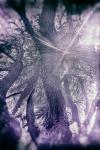 2create-img1