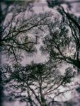 6create-img1