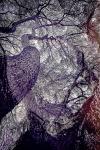 8create-img1