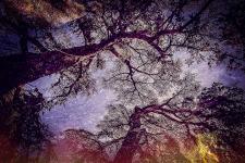 9create-img1