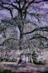 create-img1