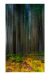 10create-img1