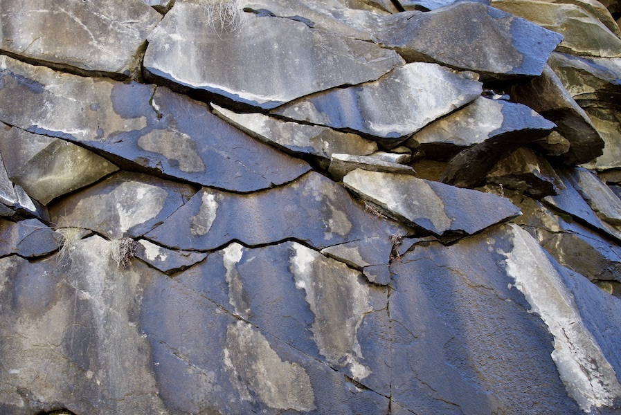 dsc09568