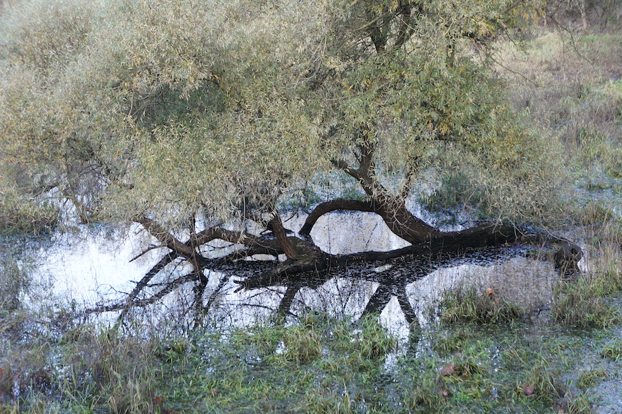 dsc07005