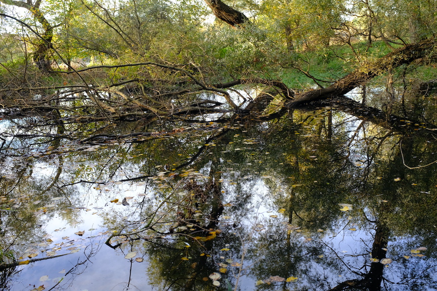 dscf0414