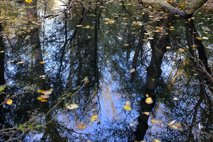 dscf0418